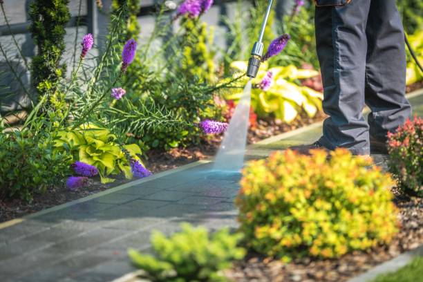 Best Gutter Cleaning  in Fairplains, NC